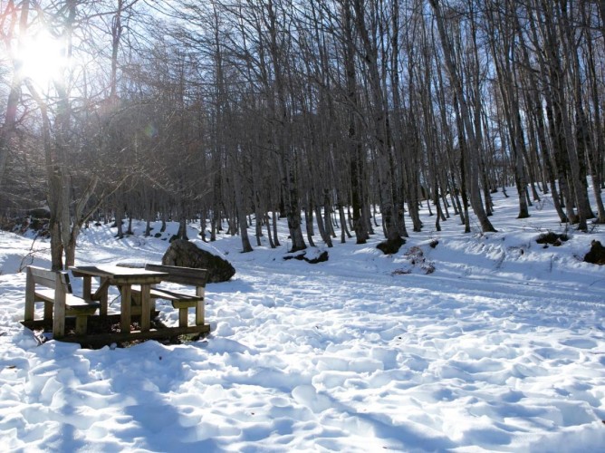 Apulia Hotel Europa Gran Sasso - Pădurile și traseele de iarnă