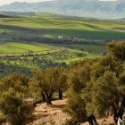 Vedere spectaculoasă a văilor fertile din orașul Moulay Idriss, în provincia Meknes, Maroc